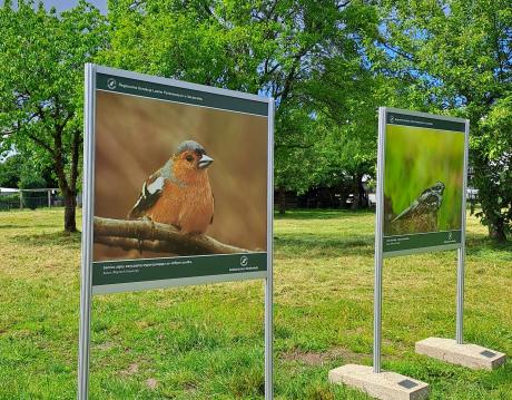 Wystawa Fotograficzna "Fauna i Flora" w Jarosławcu