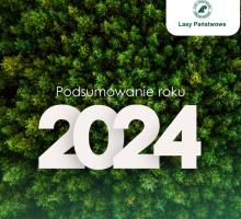 Lasy Państwowe: To był rok ochrony przyrody, adaptacji lasów do zmian klimatu i trudnego dialogu społecznego